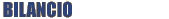 bilancio con pdf da scaricare